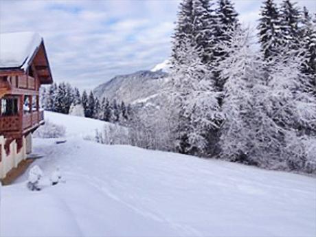 Chalet Gets CLG01 Panoramablick