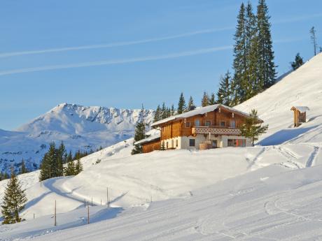 Panorama Hütte Saalbach