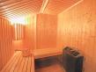 Chalet de Bellecôte Artemisia  - sauna