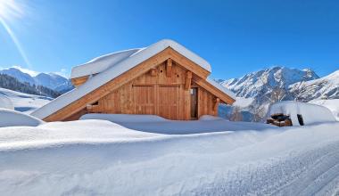 Chalet Snow Flake