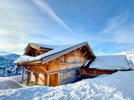 Chalet Les Mouflons