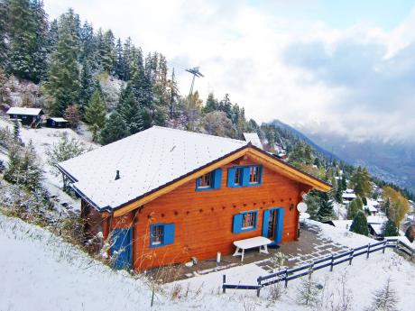 Chalet Alpina