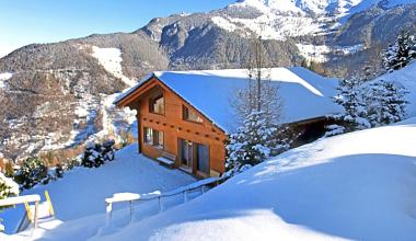 Chalet Alpina