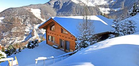 Chalet Alpina