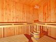 Chalet Les Etoiles - sauna